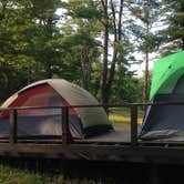 Review photo of Lake Taghkanic State Park Campground by george L., November 20, 2017
