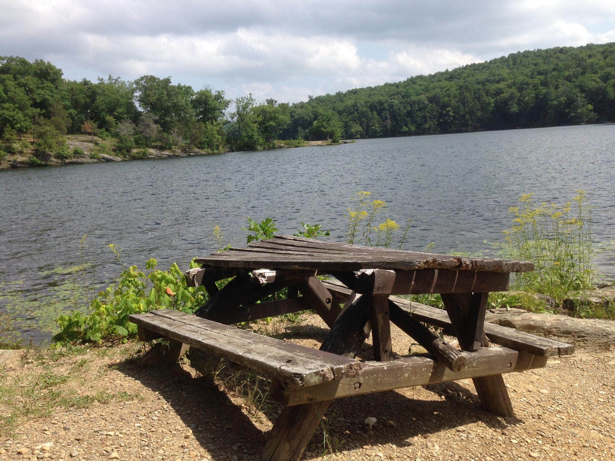 Camper submitted image from Lake Taghkanic State Park Campground - 3