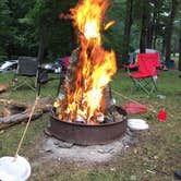 Review photo of Lake Taghkanic State Park Campground by george L., November 20, 2017