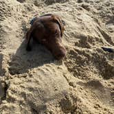 Review photo of Cape Hatteras/Outer Banks KOA Resort by Rachael H., July 3, 2020