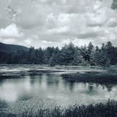Review photo of Saranac Lake Islands Adirondack Preserve by Jerry M., November 21, 2017