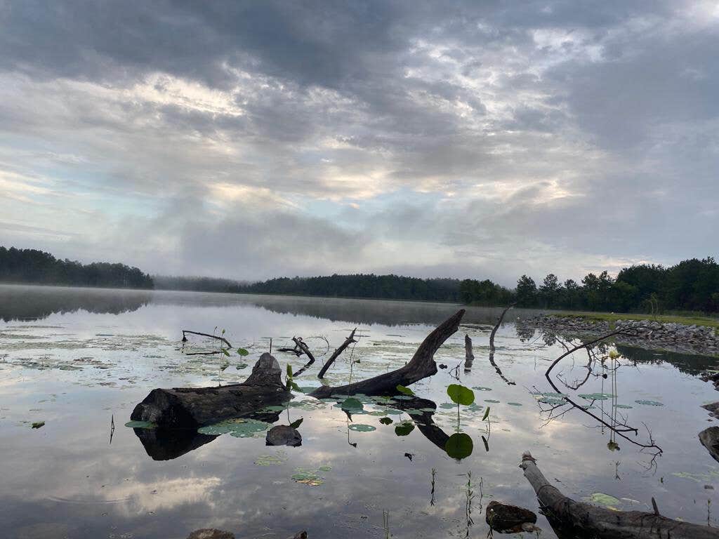 Camper-submitted photo at Lake Columbia near Purvis, MS