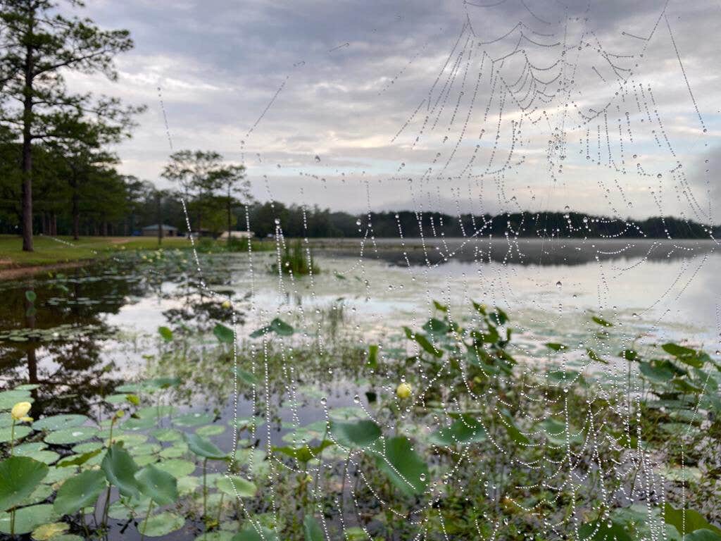 Camper-submitted photo at Lake Columbia near Purvis, MS
