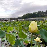 Review photo of Lake Columbia by Julian C., July 3, 2020