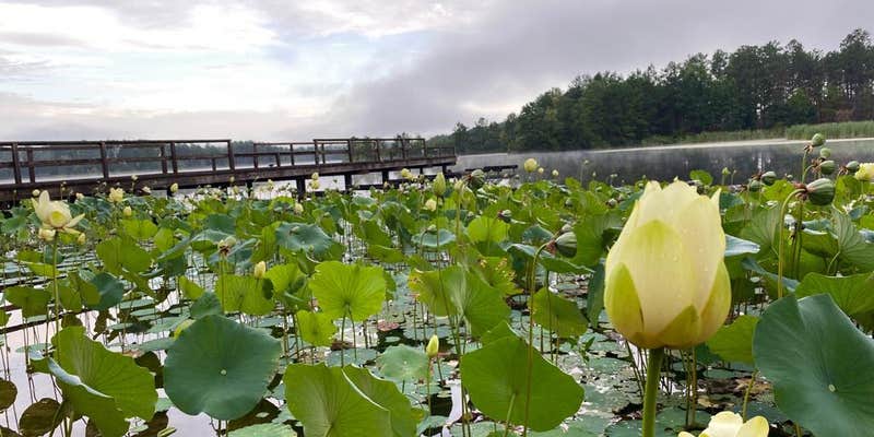 Camper submitted image from Lake Columbia