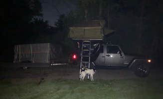 Kathryn Z.'s photo of camping with pets at Shenango Campground near Boardman, OH