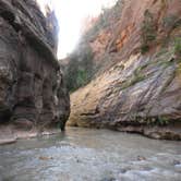 Review photo of South Campground — Zion National Park by Sam B., July 3, 2020