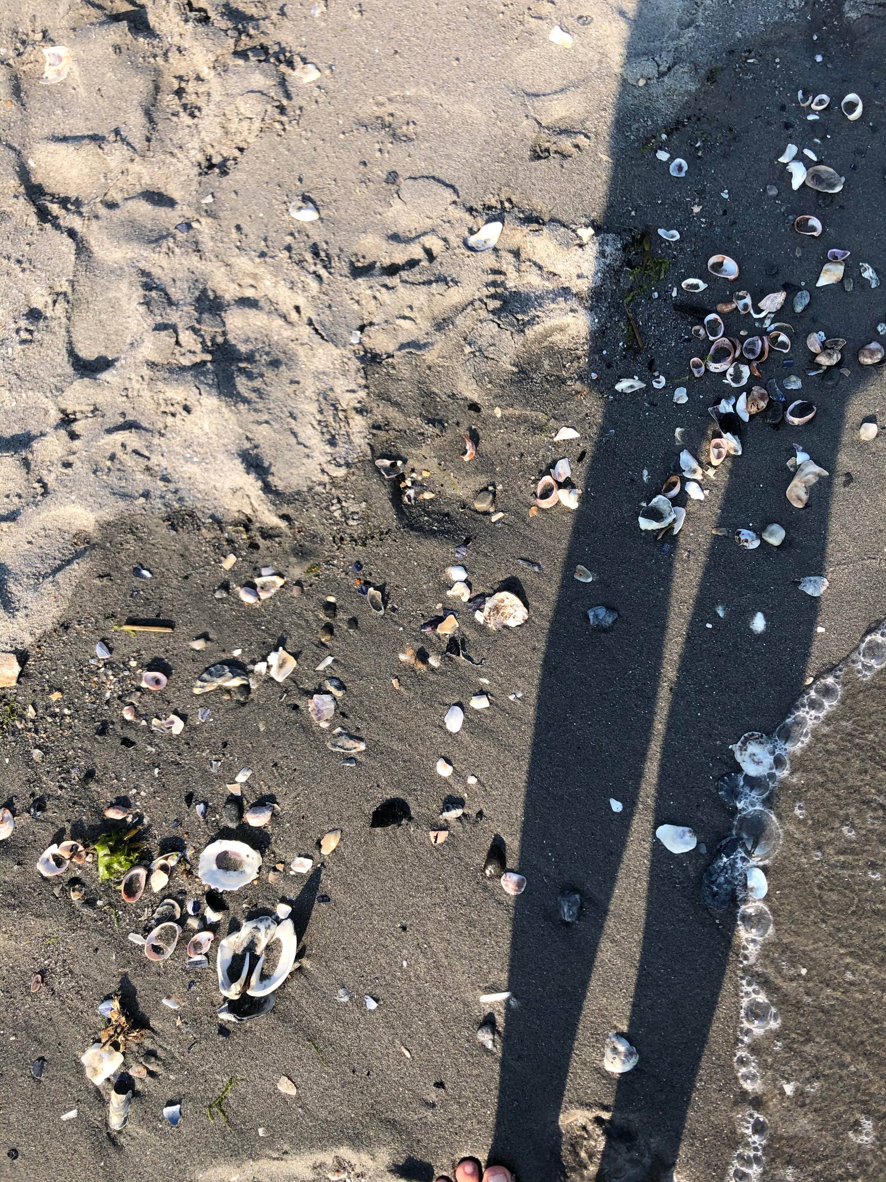 Hammonasset State Park Campground