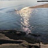 Review photo of Hammonasset State Park by Nita D., July 2, 2020