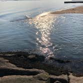 Review photo of Hammonasset State Park Campground by Nita D., July 2, 2020
