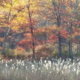 Review photo of Beaver Pond Campground — Harriman State Park by Jerry M., November 21, 2017