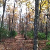 Review photo of Beaver Pond Campground — Harriman State Park by Jerry M., November 21, 2017