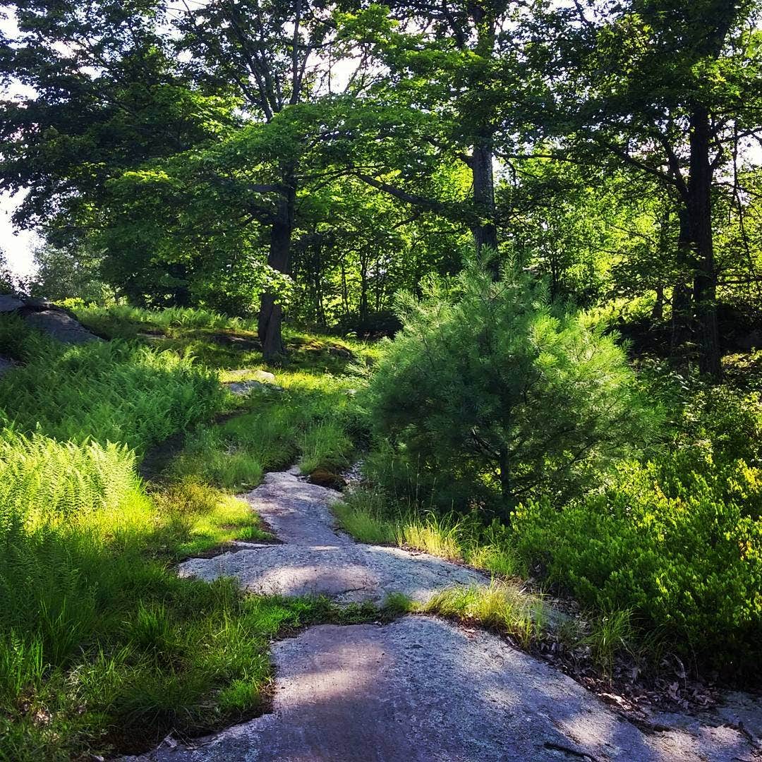 Camper submitted image from Beaver Pond Campground — Harriman State Park - 3
