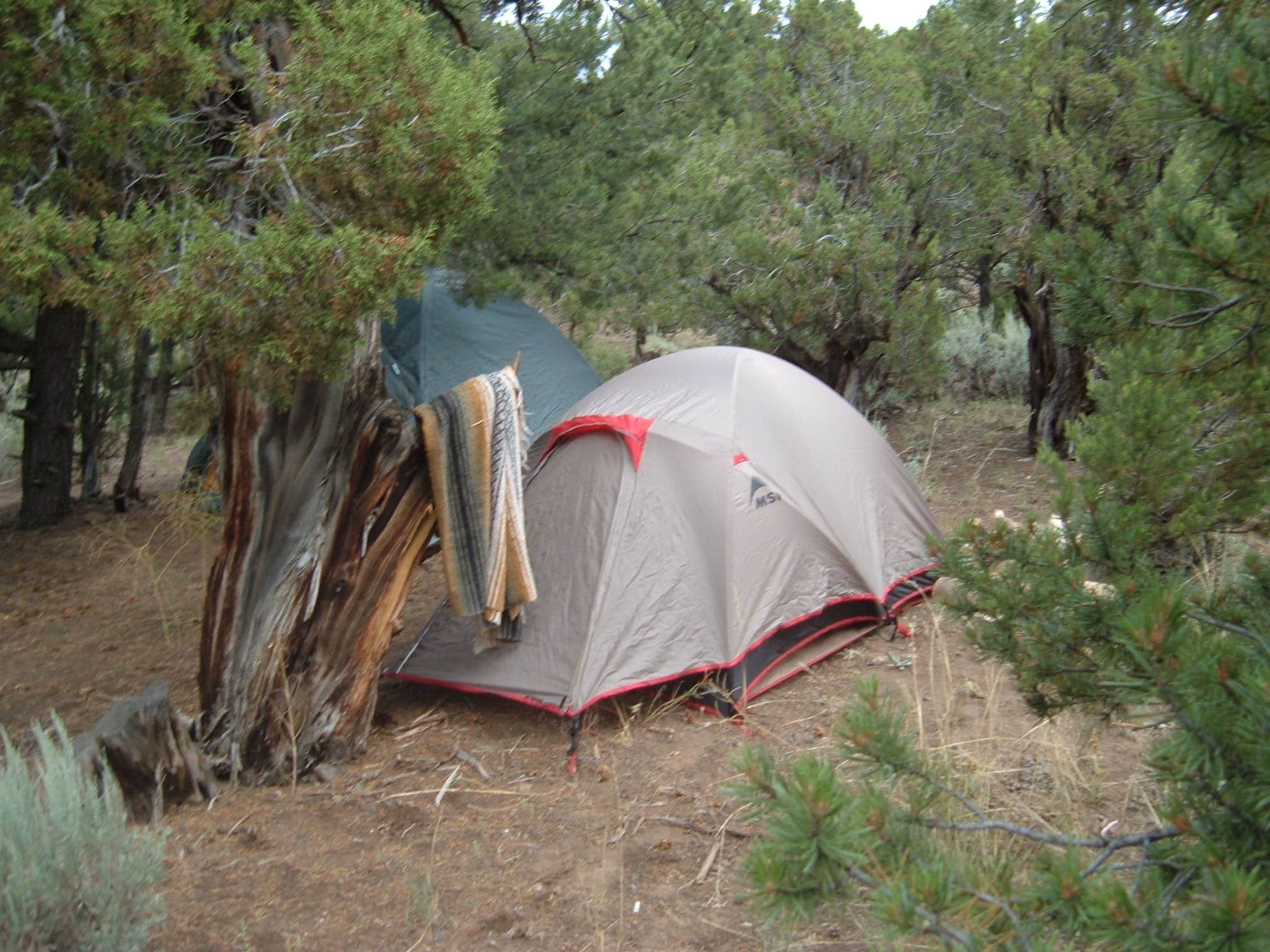 Sam B.'s photo of tent camping at State Bridge near Steamboat Springs, CO