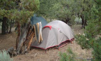 Sam B.'s photo of tent camping at State Bridge near Yampa, CO
