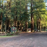 Review photo of Emerald Forest Cabins & RV by Ray & Terri F., July 3, 2020