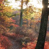 Review photo of Beaver Pond Campground — Harriman State Park by Jerry M., November 21, 2017