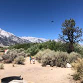 Review photo of Tuttle Creek Campground — Alabama Hills by Brett H., July 3, 2020