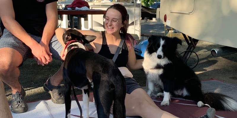 Camper submitted image from Auburn Gold Country RV Park