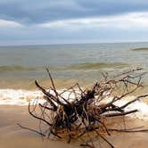 Review photo of Lake Michigan Campground at Muskegon State Park Campground by shawn M., July 4, 2020