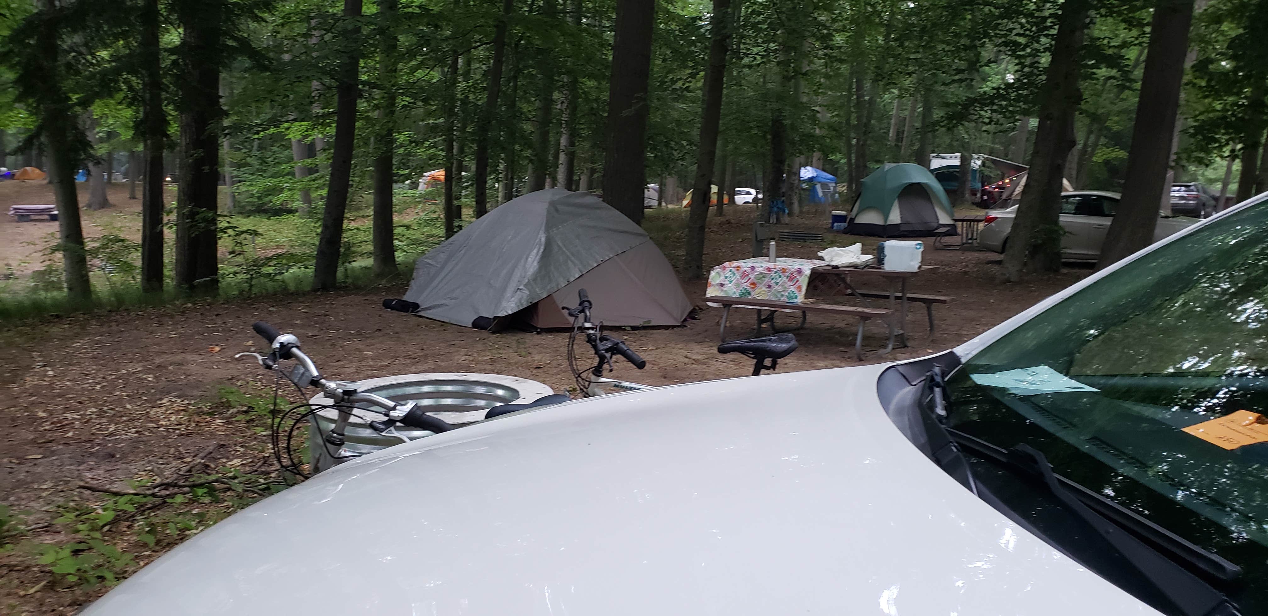 shawn M.'s photo at Lake Michigan Campground at Muskegon State Park Campground near Twin Lake, MI