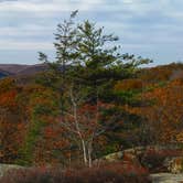 Review photo of Beaver Pond Campground — Harriman State Park by Jerry M., November 21, 2017