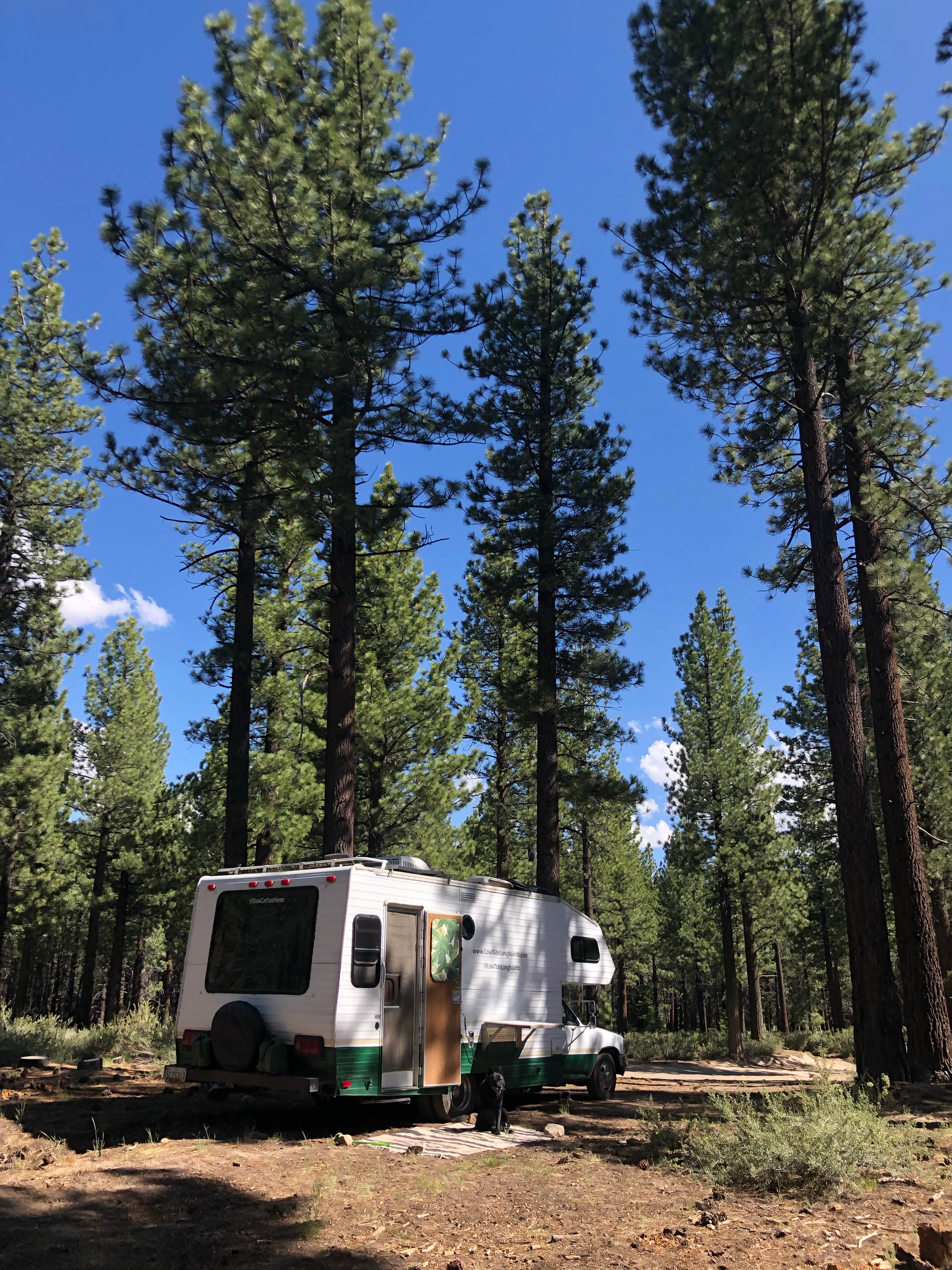 Camper-submitted photo at Sawmill cut off near Devils Postpile National Monument