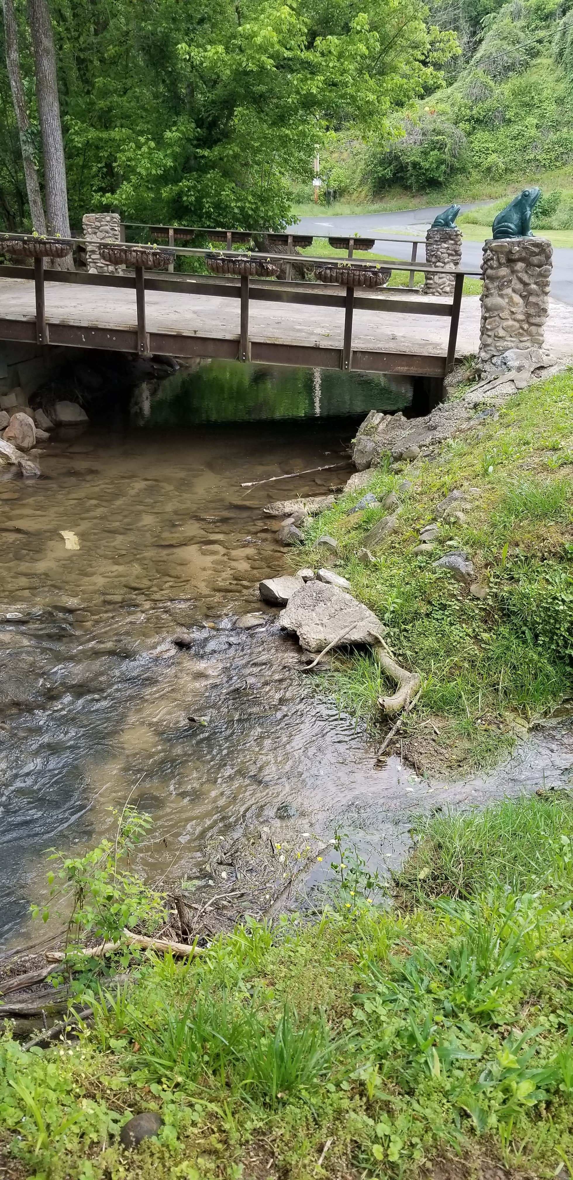 Camper submitted image from Triple Creek Campground - 3