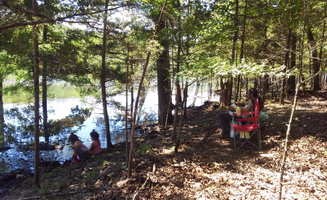 Vania M.'s photo at Aufderklamm Farm near Greeson Lake