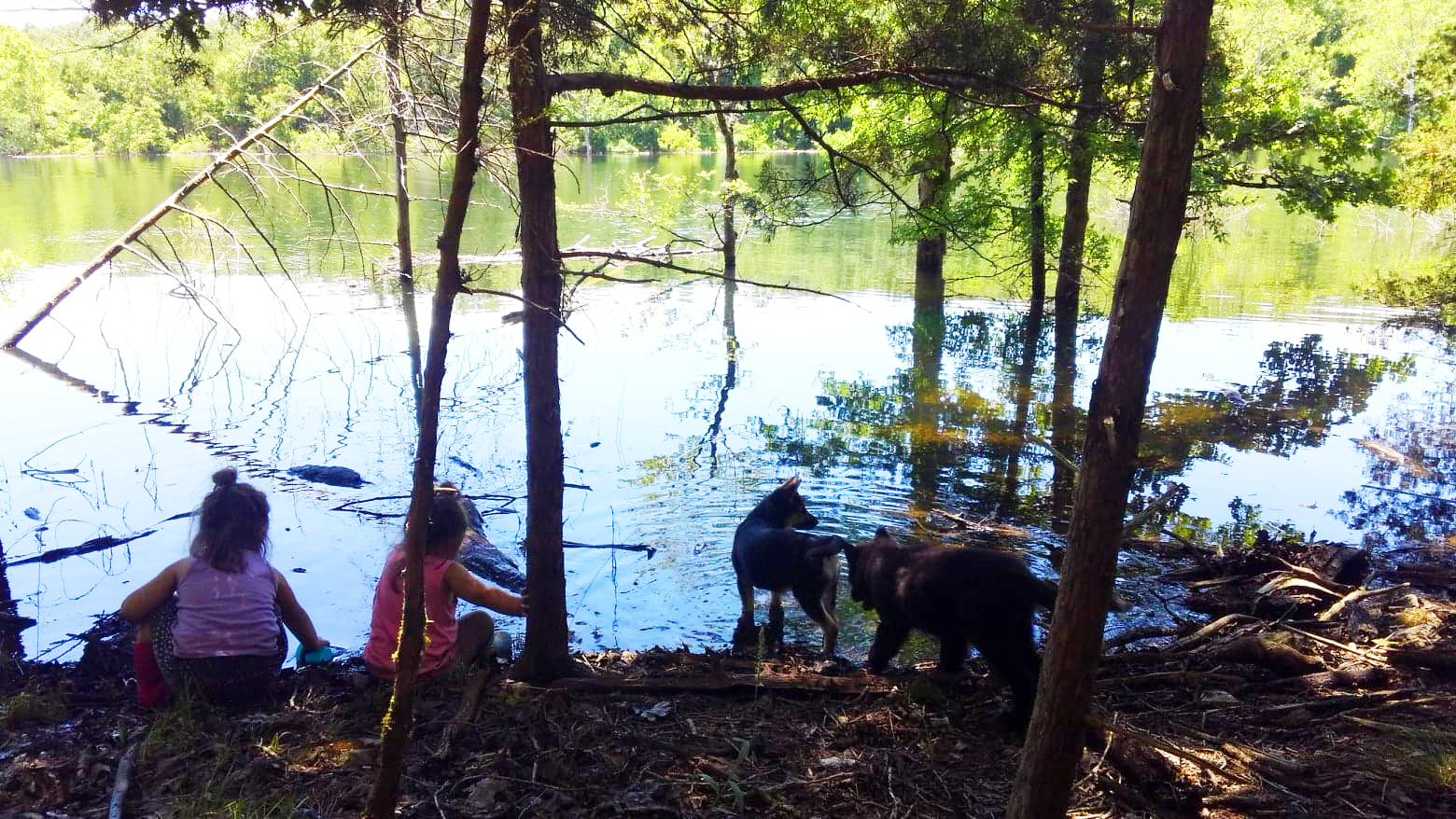 Camper-submitted photo at Aufderklamm Farm near Branson, MO