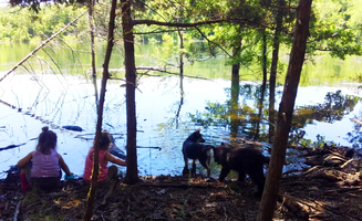 Vania M.'s photo of camping with pets at Aufderklamm Farm near Harrison, AR
