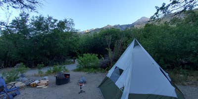 Camping