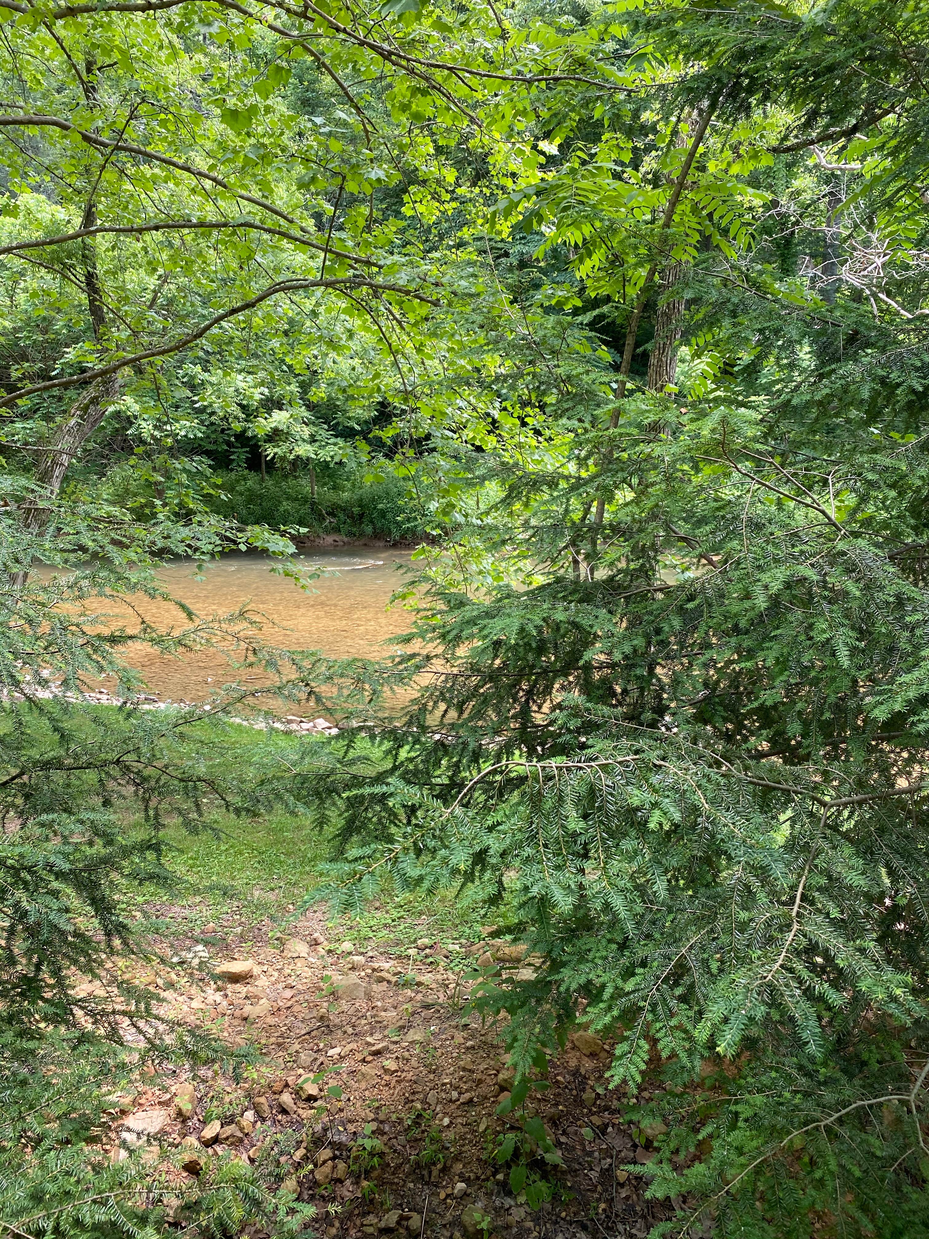 Camper-submitted photo at Roan Creek Campground near Abingdon, VA