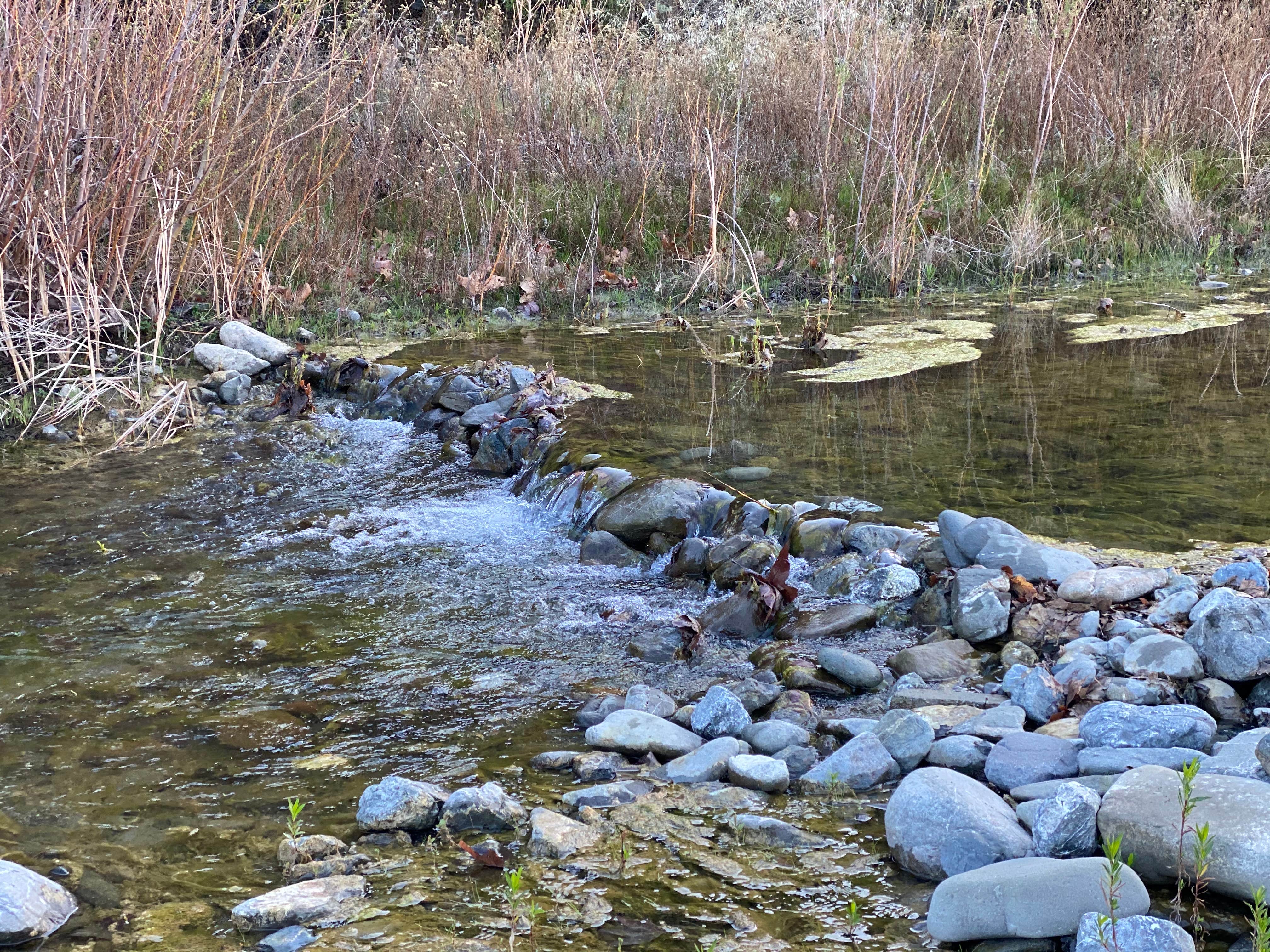 Camper-submitted photo at Del Valle Campground — East Bay Regional Park District near Pittsburg, CA