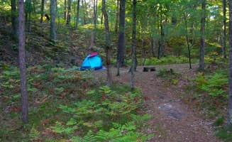The Dyrt's photo of tent camping at White Pine Backcountry Camp — Sleeping Bear Dunes National Lakeshore near Buckley, MI