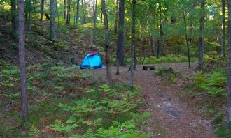 Camping near D.H. Day Campground — Sleeping Bear Dunes National Lakeshore: White Pine Backcountry Camp — Sleeping Bear Dunes National Lakeshore, Empire, Michigan