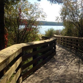 Accessible boardwalk on north side of lake