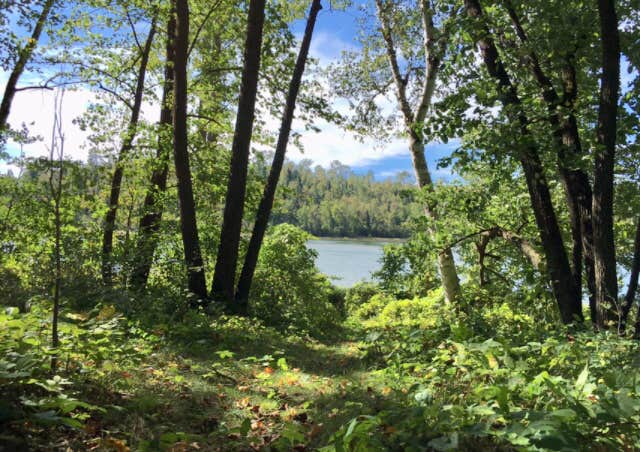 LaSalle Lake: Where Nature’s Serenity Meets Outdoor Adventure