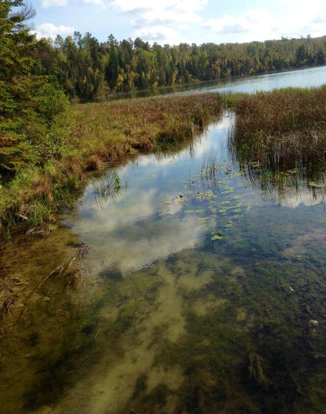 Water