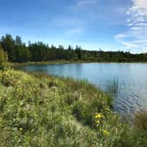 Review photo of LaSalle Lake State Recreation Area by Janet R., November 23, 2017