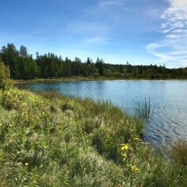 South arm of lake