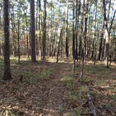 Review photo of Cedar Lake Equestrian Campground by Missy G., November 23, 2017