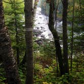 Review photo of Judge C. R. Magney State Park Campground by Janet R., November 23, 2017