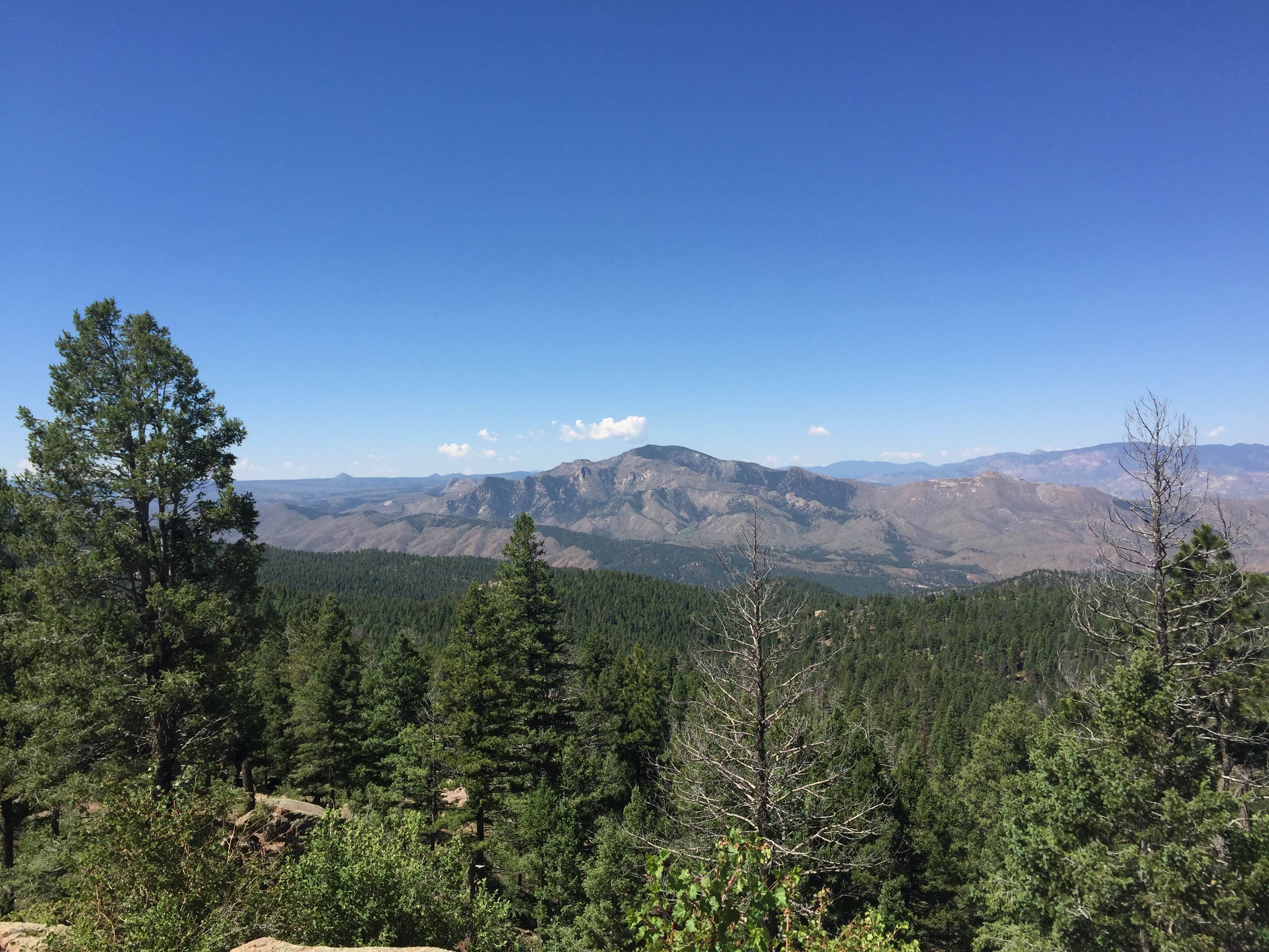 Camper submitted image from Devil's Head Campground - 2