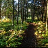 Review photo of Judge C. R. Magney State Park Campground by Janet R., November 23, 2017