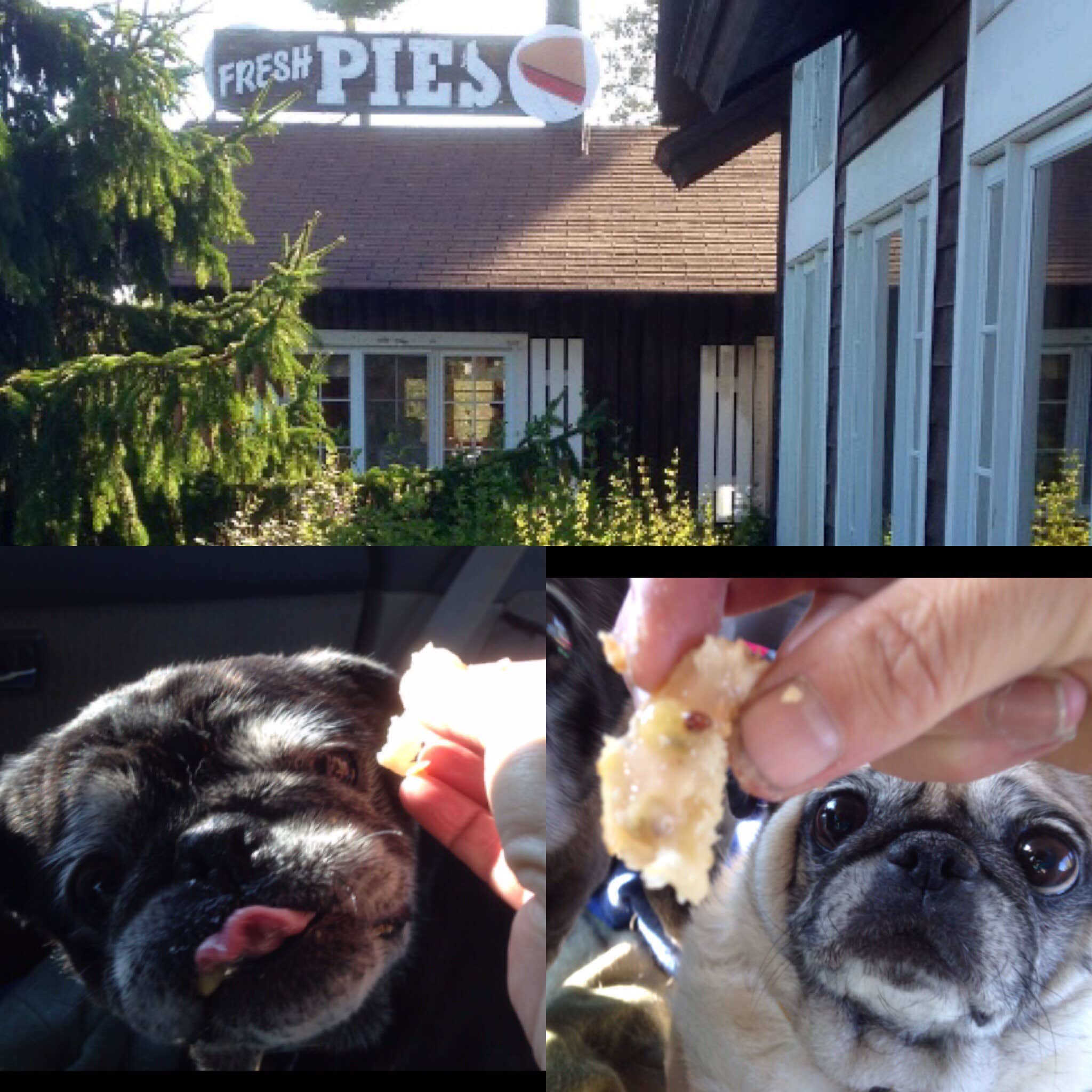 Camper-submitted photo at Gooseberry Falls State Park Campground in Minnesota