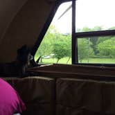Review photo of Eagle Creek State Park Campground by Shelly S., July 2, 2016