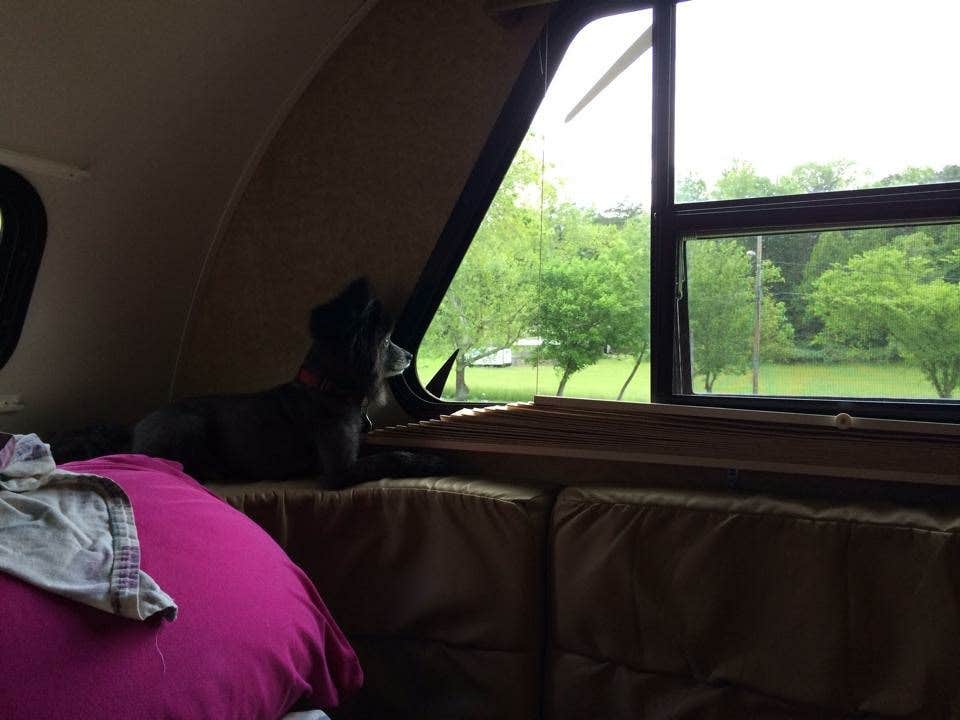 Camper submitted image from Eagle Creek State Park Campground - 2