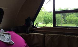 Shelly S.'s photo of glamping accommodations at Eagle Creek State Park Campground near Rochester, IL