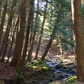 Review photo of Gilbert Lake State Park Campground by Janet R., November 24, 2017